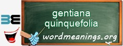 WordMeaning blackboard for gentiana quinquefolia